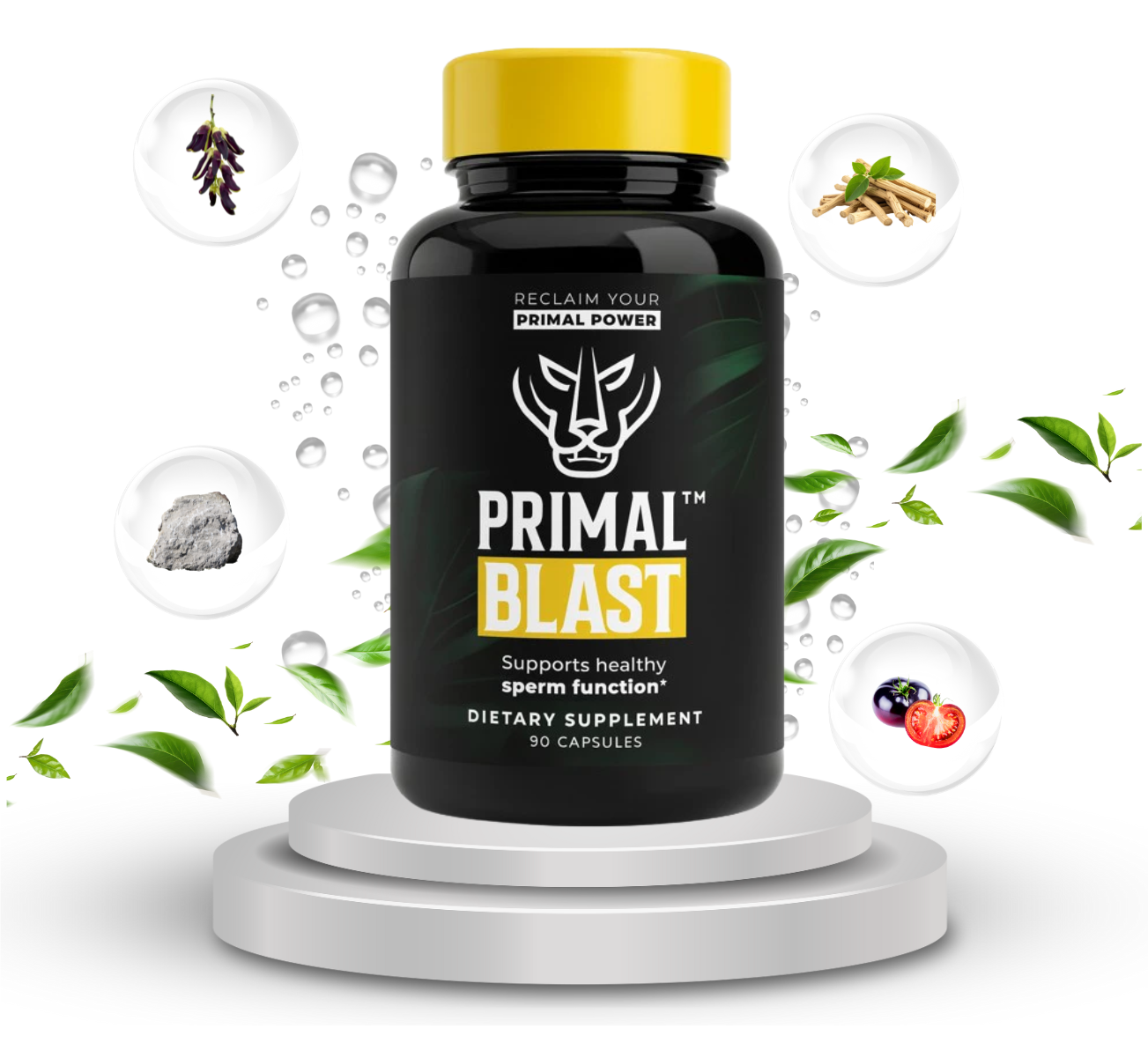 Primal Blast Supplement